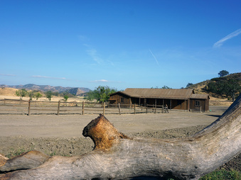 Enlarge photo 12
