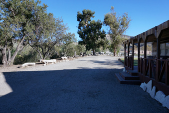 Enlarge photo 31