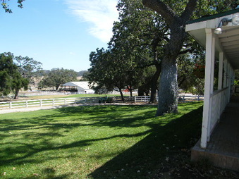 Enlarge photo 31