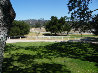 Enlarge photo 33