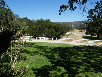 Enlarge photo 34
