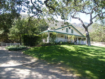 Enlarge photo 35
