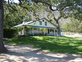 Enlarge photo 37
