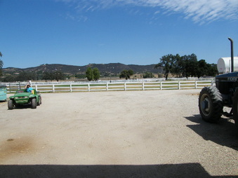 Enlarge photo 95