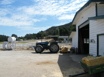 Enlarge photo 98