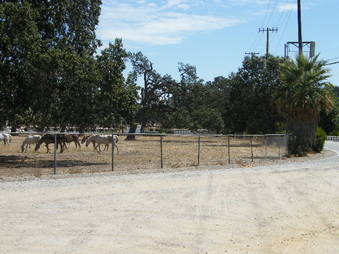 Enlarge photo 11
