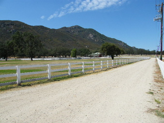 Enlarge photo 21