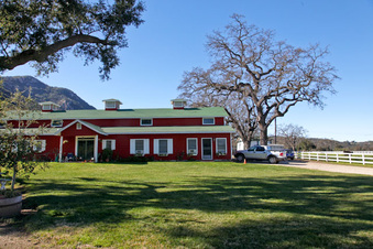 Enlarge photo 41