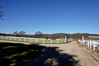Enlarge photo 42