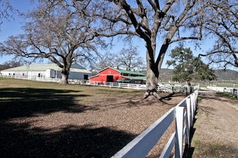 Enlarge photo 47