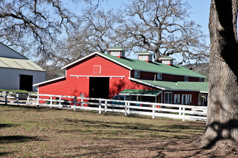 Enlarge photo 48