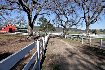 Enlarge photo 49