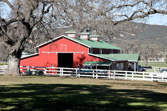 Enlarge photo 50