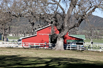 Enlarge photo 51