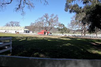 Enlarge photo 52