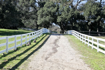 Enlarge photo 54
