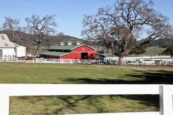Enlarge photo 55
