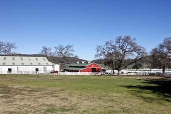 Enlarge photo 57