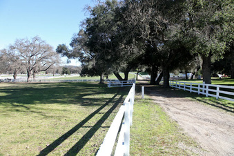 Enlarge photo 58