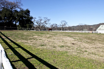 Enlarge photo 59