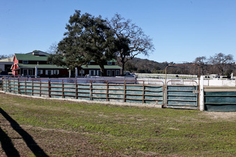 Enlarge photo 70