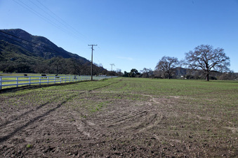 Enlarge photo 79