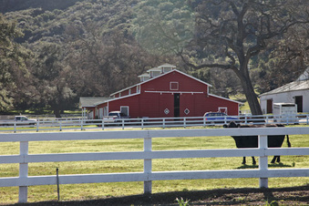 Enlarge photo 80