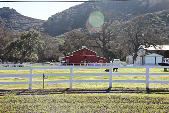 Enlarge photo 81