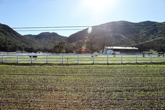Enlarge photo 82
