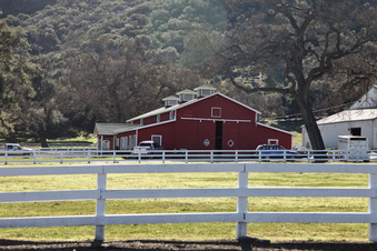 Enlarge photo 84