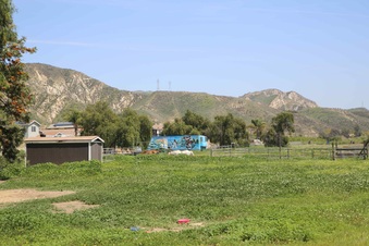 Enlarge photo 13