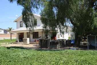 Enlarge photo 15