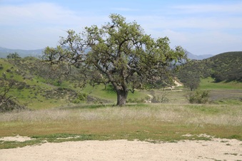 Enlarge photo 45
