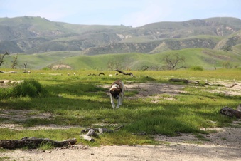 Enlarge photo 46