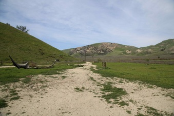 Enlarge photo 47