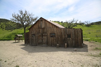 Enlarge photo 50
