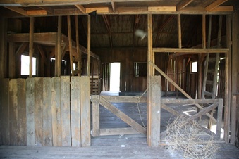 Enlarge photo 53