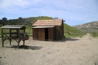 Enlarge photo 55