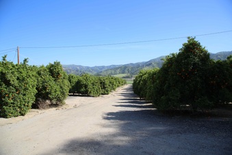 Enlarge photo 2