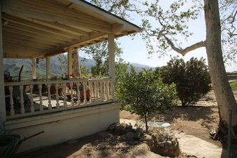 Enlarge photo 31