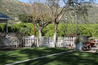 Enlarge photo 35