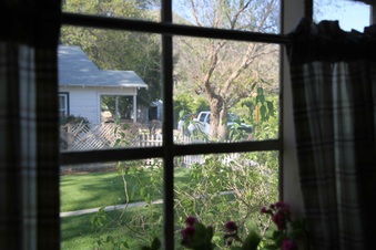 Enlarge photo 54