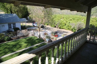 Enlarge photo 69