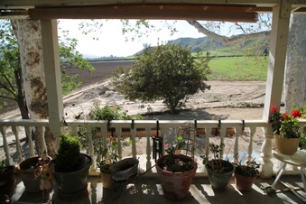 Enlarge photo 80
