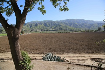 Enlarge photo 82