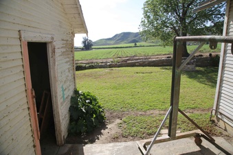 Enlarge photo 116