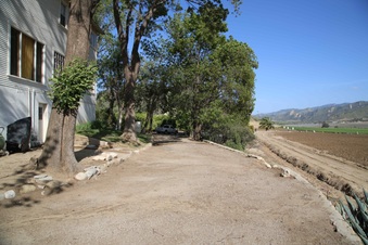 Enlarge photo 134