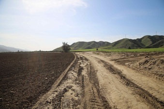 Enlarge photo 141