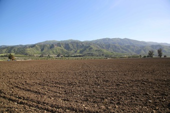 Enlarge photo 142