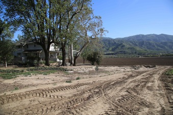 Enlarge photo 145